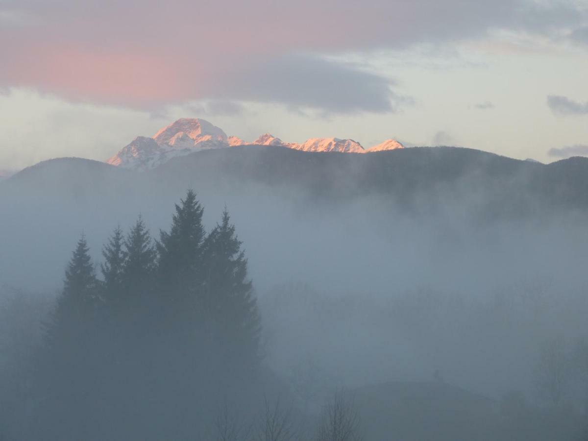 Splendide Vue Pyrenees, Rez De Jardin 2 Chambres Montjoie-en-Couserans Buitenkant foto